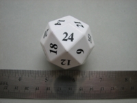 Dice : d24 unknown white