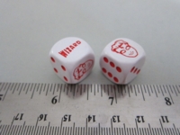 Dice : d6 16mm Madman Wizard