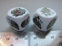 Dice : d6 22mm CC DGD ogre