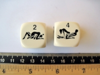 Dice : d6.O.kamasutra