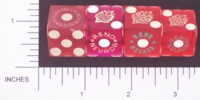 Dice : CASINO ELDORADO 02