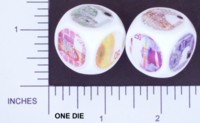 Dice : DUPS02 CURRENCY NETHERLANDS 01