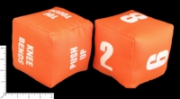 Dice : FOAM2 UNKNOWN FITNESS 01