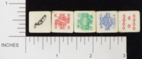 Dice : MINT1 ARGOS 01
