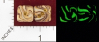 Dice : MINT23 D6 GAME DICE GLOWING GOLD RUSH