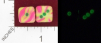 Dice : MINT23 D6 GAME DICE NEON WATERMELLON