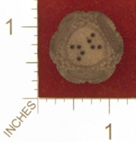 Dice : MINT25 SHAPEWAYS DIZINGOF PRE HISTORIC D8 DICE 01