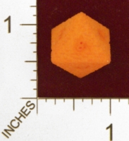 Dice : MINT25 SHAPEWAYS WILLAPUERTA 8 SIDED MAZE DIE 01