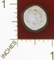 Dice : MINT26 UNKNOWN CRYSTAL CASTE RANDOM 05 CROSSHAIRS