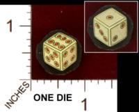 Dice : MINT29 UNKNOWN UKRAINIAN PAINTED BONE 01