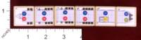 Dice : MINT30 PRINT AND PLAY PRODUCTIONS AETHER CAPTAINS DOMINION 01