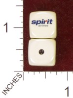 Dice : MINT35 HOMEMADE SPIRIT AIRLINES