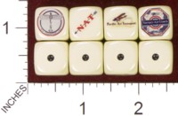 Dice : MINT35 HOMEMADE UNITED AIRLINES 01 BOEING NATIONAL PACIFIC VARNEY