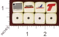 Dice : MINT35 HOMEMADE US AIRWAYS 02 PSA PIEDMONT TRUMP SHUTTLE