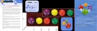 Dice : MINT35 MICROSOFT EMBRACING UNCERTAINTY NON TRANSITIVE EFRONS