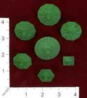 Dice : MINT44 SHAPEWAYS CERAMICWOMBAT TOP DICE