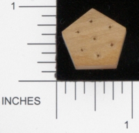 Dice : WOOD D7 GOTHIC GREEN OAK 01